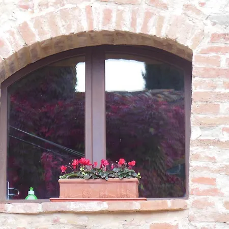 Larocchettina Castiglione d'Orcia
